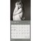 Taylor Swift OFFICIAL | 2026 7 x 14 Inch (Hanging) Monthly Mini Wall Calendar | BrownTrout | Music Pop Singer Songwriter Celebrity